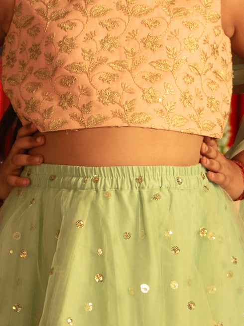 Vastramay Girls' Pink Zari Embroidery Worked Crop Top And Net Lehenga Set